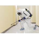 Are Ceilings Affected by Termite Infestation? Bed Bug Treatment Solution in Singapore