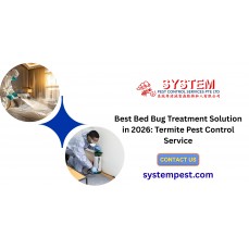 Best Bed Bug Treatment Solution in 2026: Termite Pest Control Service