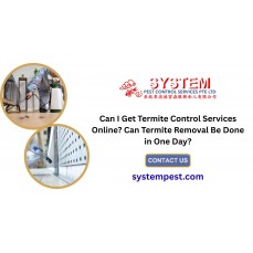 Can I Get Termite Control Services Online? Can Termite Removal Be Done in One Day?