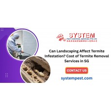 Can Landscaping Affect Termite Infestation? Cost of Termite Removal Services in SG