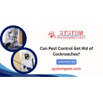 Can Pest Control Get Rid of Cockroaches?