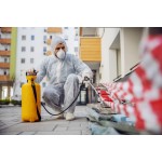 Can Pest Control Services Handle Both Indoor and Outdoor Pest Issues