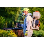 Can Residential Pest Control Services Help with Pantry Pests?
