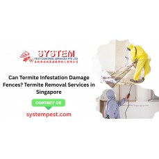 Can Termite Infestation Damage Fences? Termite Removal Services in Singapore