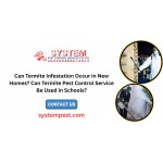 Can Termite Infestation Occur in New Homes? Can Termite Pest Control Service Be Used in Schools?