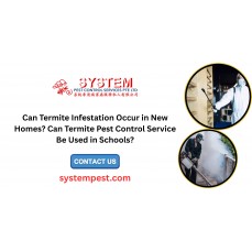Can Termite Infestation Occur in New Homes? Can Termite Pest Control Service Be Used in Schools?
