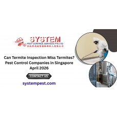 Can Termite Inspection Miss Termites? Pest Control Companies in Singapore April 2026