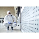 Can Termite Treatment Reach Wall Cavities? Can Bed Bug Treatment Solution Protect Sleeping Areas?