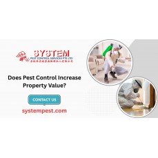 Does Pest Control Increase Property Value?