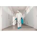 Does Termite Inspection Detect Infestation After Flooding