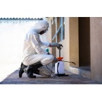 Does Termite Inspection Include Attic? Can Termite Control Services Singapore Treat Condominiums?