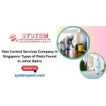 Pest Control Services Company in Singapore: Types of Pests Found in Johor Bahru