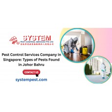 Pest Control Services Company in Singapore: Types of Pests Found in Johor Bahru