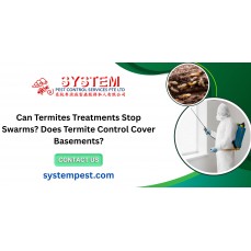 Can Termites Treatments Stop Swarms? Does Termite Control Cover Basements?