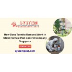 How Does Termite Removal Work in Older Homes: Pest Control Company Singapore