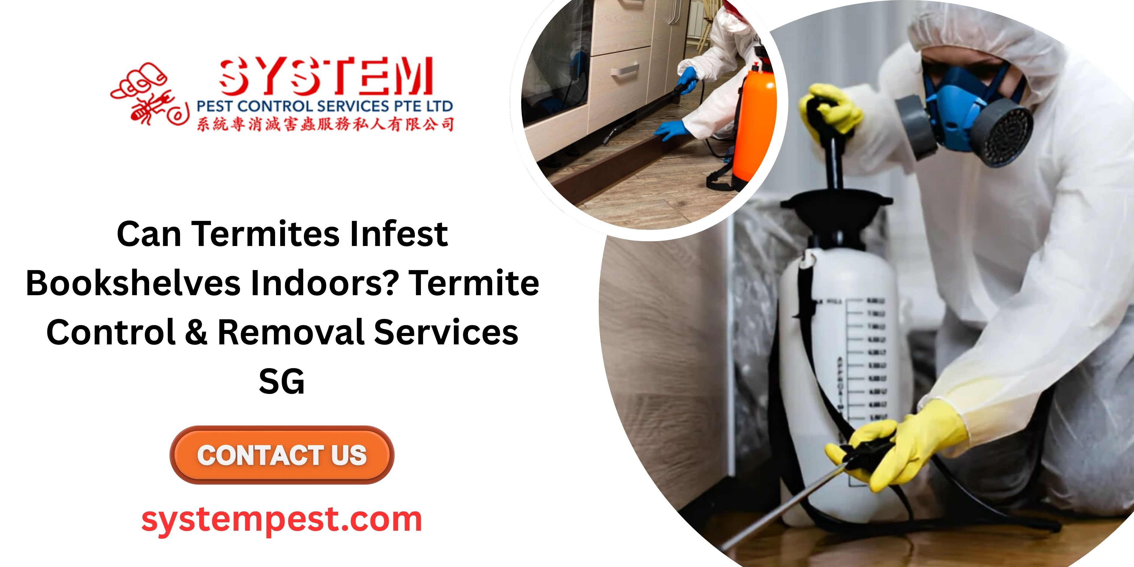 Protect Bookshelves from Termites | SG Pest Services - System Pest