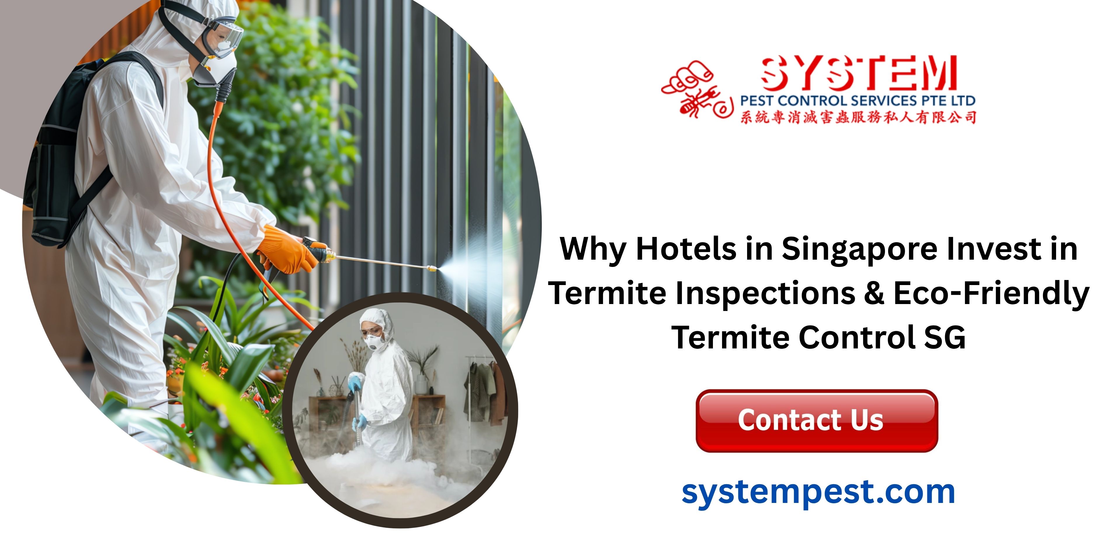 Termite Inspections & Eco-Friendly Pest Control for SG Hotels - System Pest