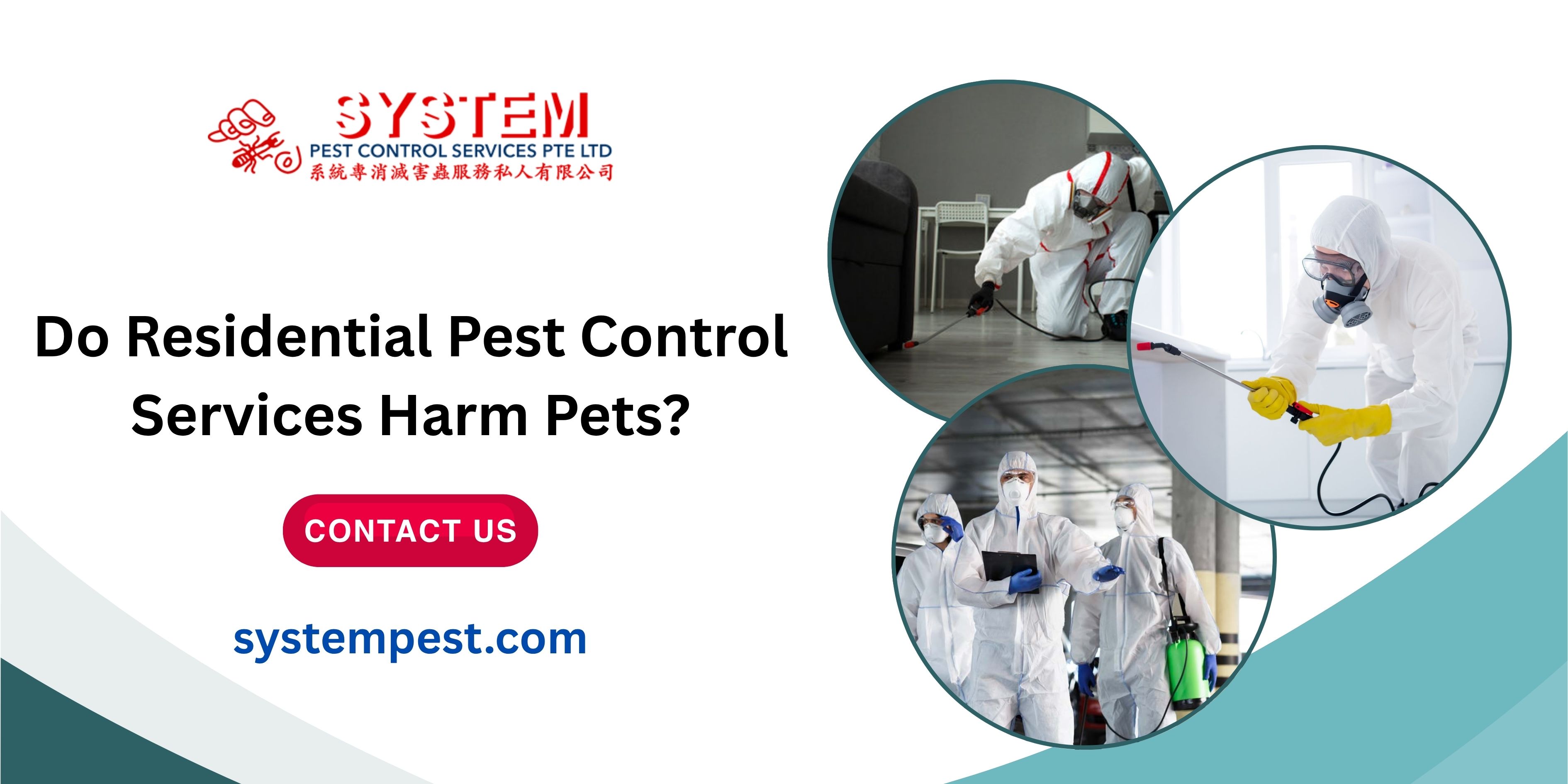 Do Residential Pest Control Services Harm Pets? - System Pest
