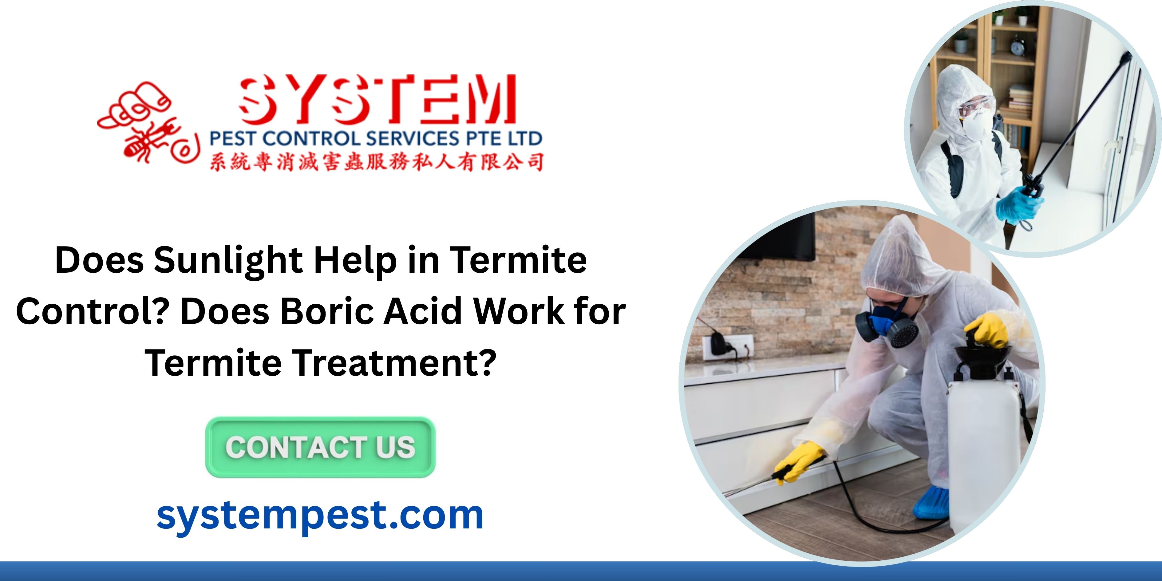 Terminate Control Work Does Sunlight Help in Termite Control? Does Boric Acid Work for Termite ...